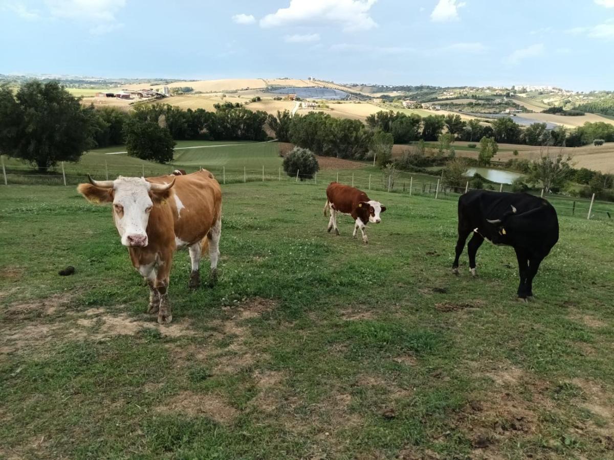 Casa Di Campagna Villa De Luca Bellante エクステリア 写真