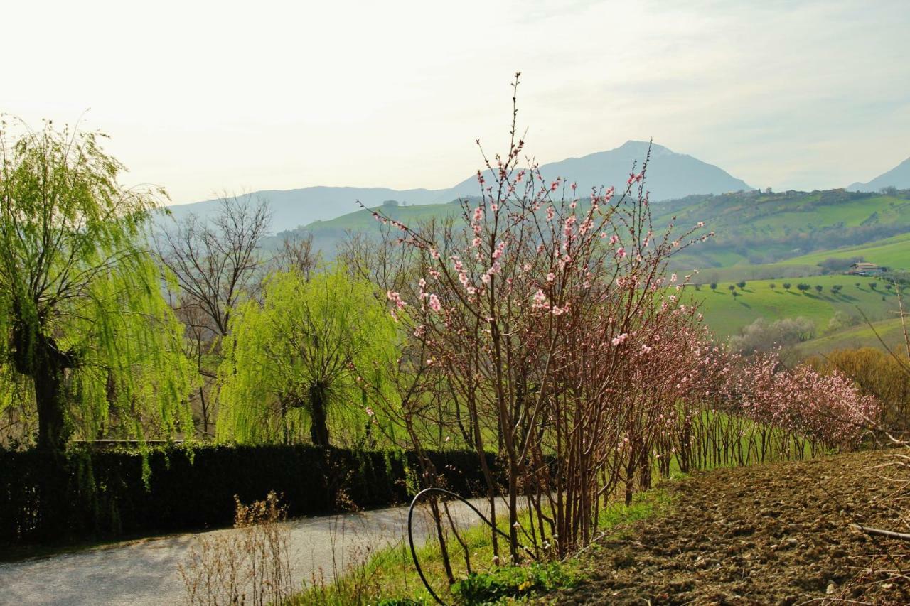 Casa Di Campagna Villa De Luca Bellante エクステリア 写真